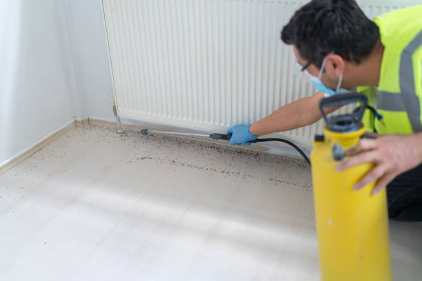 Best Emergency Pest Control  in Haw River, NC